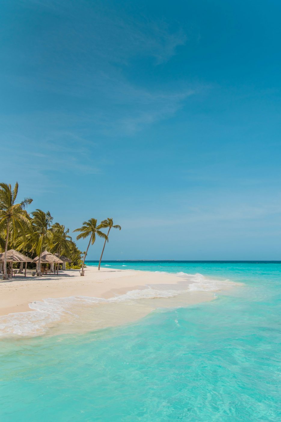 Palm trees over white sand and turquoise water in the Maldives